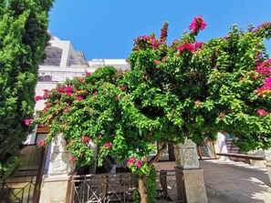 Family Apartment | Exterior - V.I.P. Galatex (Limassol)