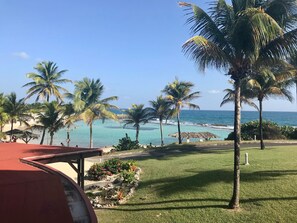 Une vue sur la plage, avec des palmiers, une zone herbeuse et une structure rouge.