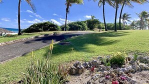 A paved road curving through a grassy area with palm trees and a clear blue sky.