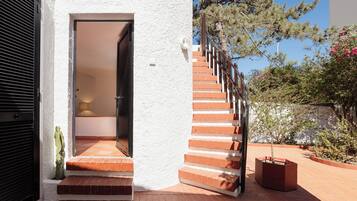 A staircase leading to a door, a cactus, and a potted plant.