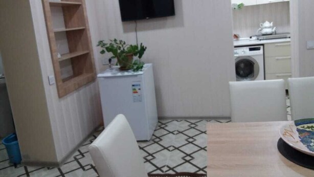 Un espacio habitable compacto con zona de comedor, una pequeña cocina con lavadora, un televisor montado en la pared y una planta en maceta.