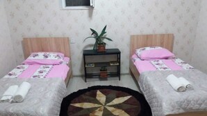 Una habitación con dos camas individuales, una mesita con una planta y un tapete redondo.