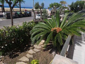 Property grounds - Spectacular 1st line ground floor. Pool - WiFi-terraces-views (Segur de calafell)