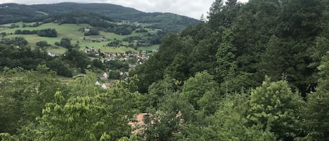 Et frodigt grønt landskab med en landsby, der ligger gemt i dalen.