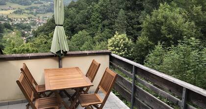 Gîte du ROCHER, 3 * in Alsace center