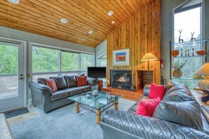 TV, fireplace, books