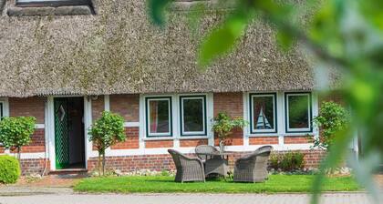 Vacation apartment 5 above the cherry tree - Ferienwohnungen von Schassen