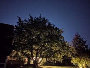 Un ciel nocturne étoilé, un grand arbre et un bâtiment en arrière-plan.