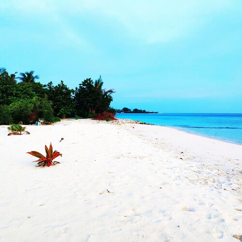 Magic life guesthouse