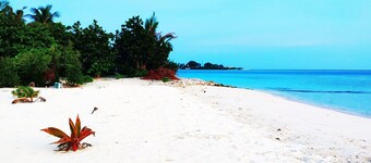 Magic life guesthouse