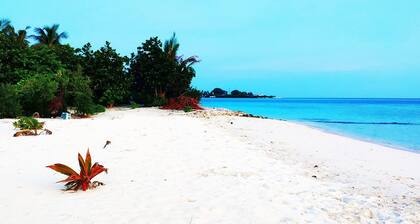 Magic life guesthouse