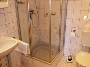 Shower, hair dryer, towels