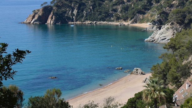 Un paysage côtier comprenant une plage, des falaises rocheuses et une végétation luxuriante.
