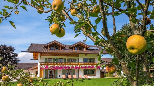 Una casa con balcón, rodeada de un césped cuidado y árboles frutales.