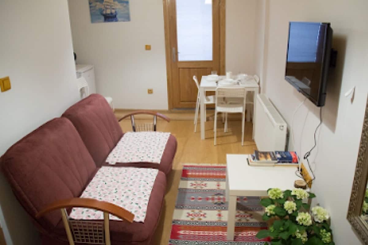 Deluxe Studio Suite | Living room