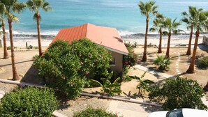 A beachfront property with a small building, palm trees, and a view of the ocean.