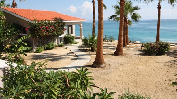 A beachfront property with a covered patio, palm trees, and a view of the ocean.