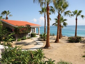 Una propiedad frente a la playa con un patio cubierto, palmeras y vistas al océano.