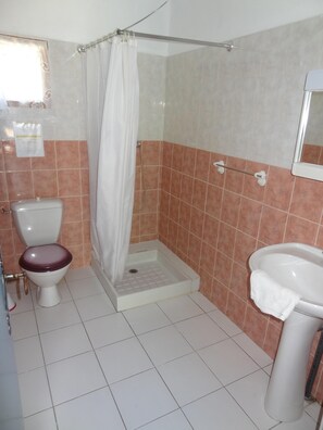 Dusche, Haartrockner, Toilettenpapier