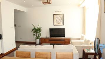Flat-screen TV