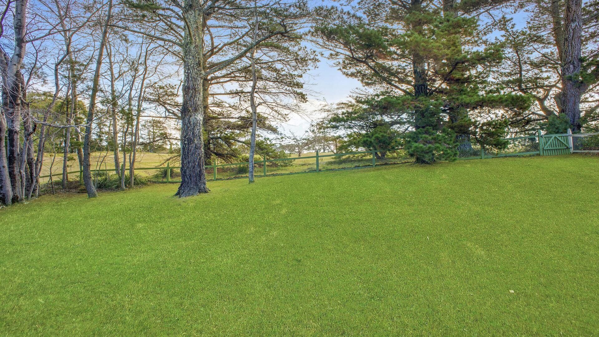 A grassy field with trees and a green fence.