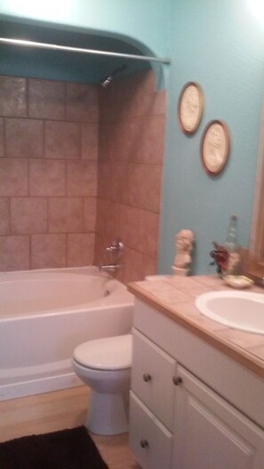 Combined shower/tub, hair dryer, towels, soap