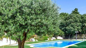 Piscina rodeada de césped cuidado y un olivo grande.