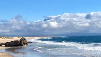 Une plage où une personne se promène avec une planche de surf.