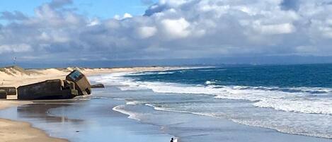 En la playa y camastros