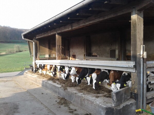 Photo non classée, 1 sur 14, bouton