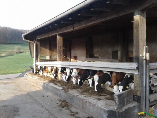 Kreuzdellenhof - Ferienzimmer (ohne Frühstück)