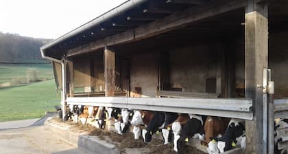 Kreuzdellenhof - Ferienzimmer (ohne Frühstück)