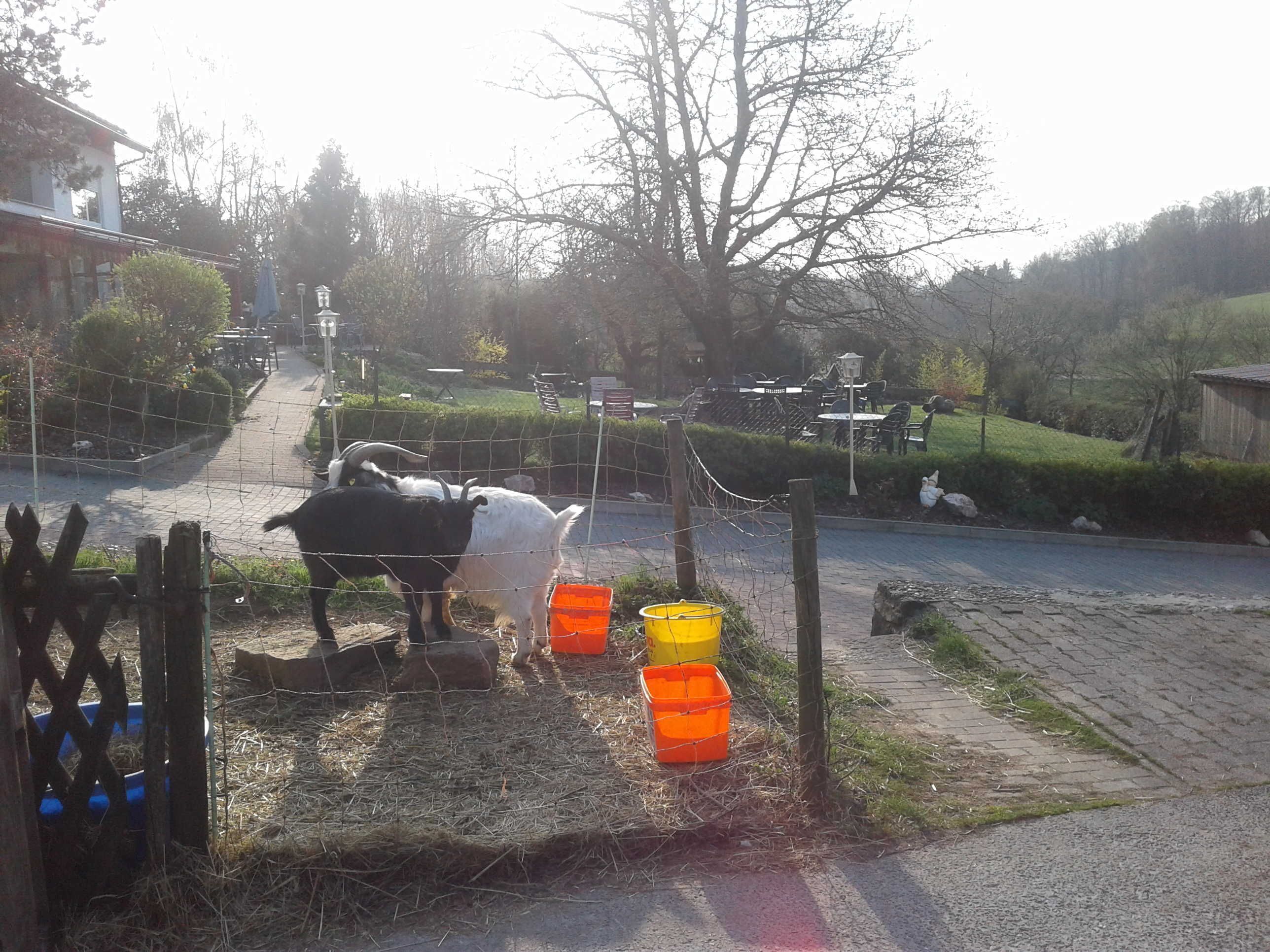 Enceinte de l’hébergement