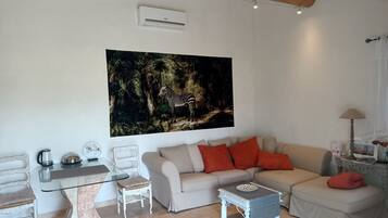 TV, DVD player, books