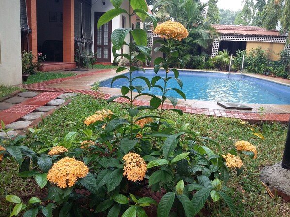 Alberca al aire libre 