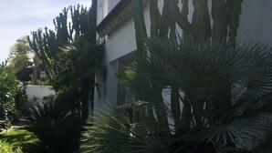 A garden with tall cacti and palm trees, a pathway, and a building with a white facade and red roof. - Single family Home (El Puerto de Sta María)