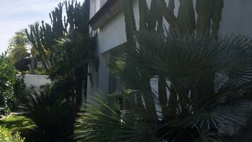 DĂ©tail de lâextĂ©rieur