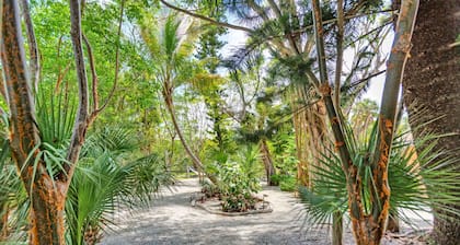 Lovebird nukkuu 3! Suuri arvo Sanibel-kävelymatkan päässä ruokailuun, kauppoihin ja historialliseen East Endin majakkaan