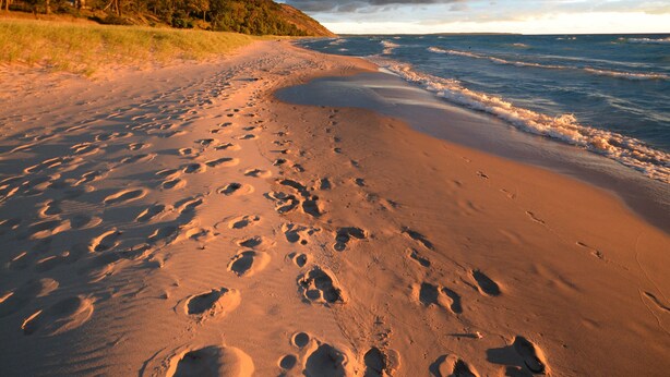 A beach with footprints leading to the water, a grassy area with trees, and a cloudy sky. - The Cottonwood Inn B&B (Empire)