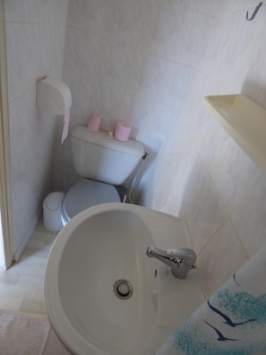 Ducha, secador de pelo, toallas, papel higiénico