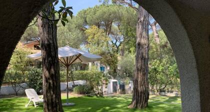 Casa delle Palme by Interhome