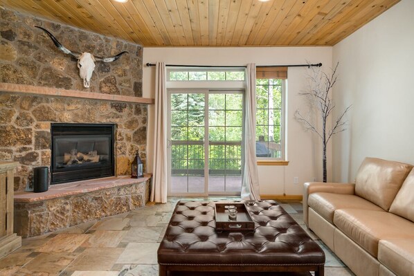 TV, fireplace, video games, music library