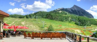 3br Mt Crested Butte Condo w/access to resort