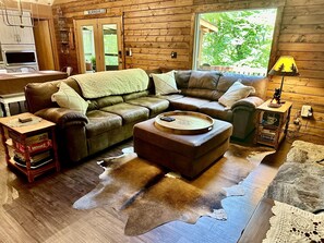 Smart TV, fireplace, books