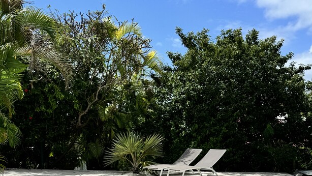 A swimming pool with two lounge chairs and two red and white inflatable rings. - Confortable Villa "Coco" with a private swimming pool (Saint François)
