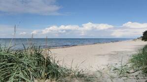 Une plage avec du sable, de l’herbe et un ciel dégagé.