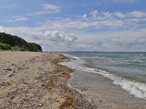 A beach with pebbles and seaweed, a forested area, and a clear sky. - Vacation cottage Fritid, Germany (Kalkhorst)