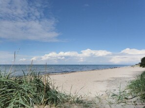 A beach with sand, grass, and a clear sky. - Shooting star, Germany (Kalkhorst)