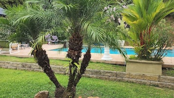 Un jardin bien entretenu, agrémenté d’un palmier, d’une piscine et d’un chemin en pierre.