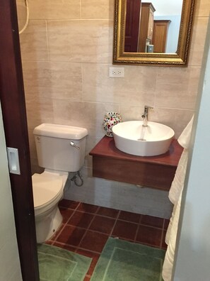 Shower, towels, toilet paper